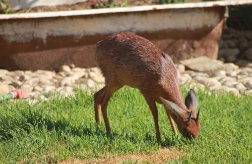 De Hoop Casa | Grysbok Self Catering Accommodation