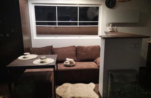 Sulejow Casa | Grzyby, ryby, ferie, Własny pomost, kajak, kominek, grill, ognisko raj nad wodą, BRZÓZKI 1