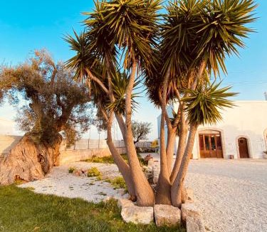 Monopoli Cama Y Desayuno | Guardian's House
