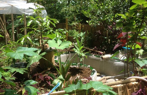 Batu Karas Casa | Pizza Gubuk Cinta di Kebun: