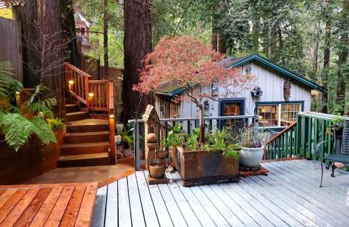 Guerneville Casa | Guerneville Cottage! Redwoods! Hot Tub! Fire Table! Fast WiFi! Serenity Defined!