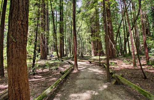 Guerneville Casa | Guerneville Home - Walk to the Russian River!