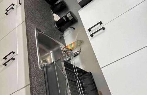 Winnipeg Casa | Guest expertise