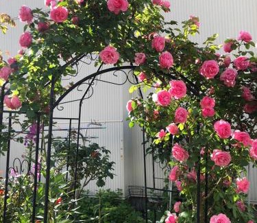 Otaru Casa | Guest House 来夢