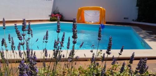 Vinkuran Casa | Guest house Bizjak