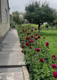Sevan Apartamento | Guest House Chkalovka Garden