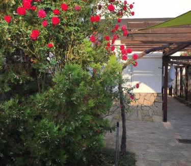 Kardzhali Province Casa | Guest House Dobrev