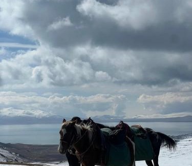 Naryn Region Casa | GUEST HOUSE EcoNest & HORSE RIDING TOURS TO SONG-KOL LAKE