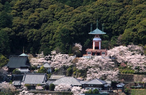 Kaiyo-cho Casa | Guest House Fuku-chan