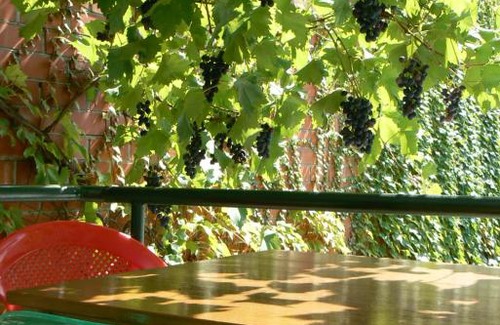 Gelendzhik Casa | Guest house Irina