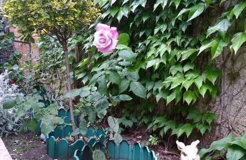 Gelendzhik Casa | Guest house Irina