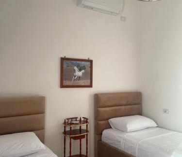 Berat Apartamento | Guest House Irvin