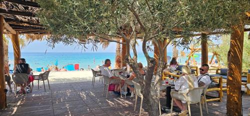 Gajac Casa | Guest House Jasna