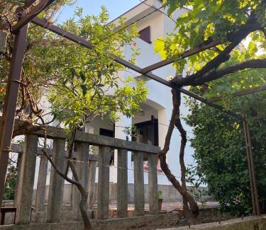 Gospostina Casa | Guest house Kamelija
