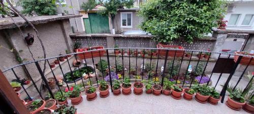 Pavel Banya Casa | Guest House Kukera