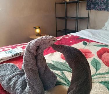 Merzouga Cama Y Desayuno | Guest House Nomad Life