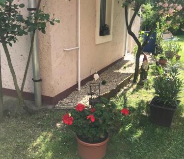 Egerszalok Casa | Guest House Rózsakert