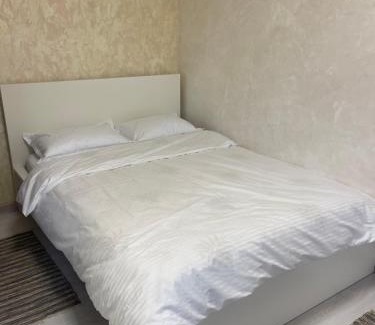 Tirgu Jiu Apartamento | Guest house