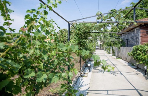 Kobuleti Casa | Guest House Sofia