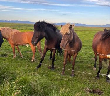 Rangarþing ytra Casa | Guest House Svetlana