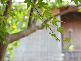 Okazaki Casa | Guest House Waraku-An