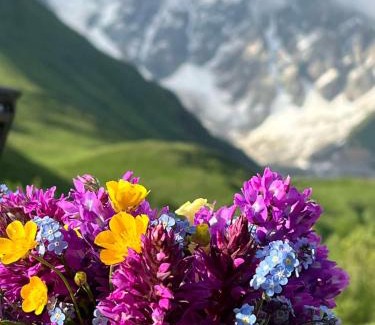 Ushguli Casa | Guesthouse Divo Hut