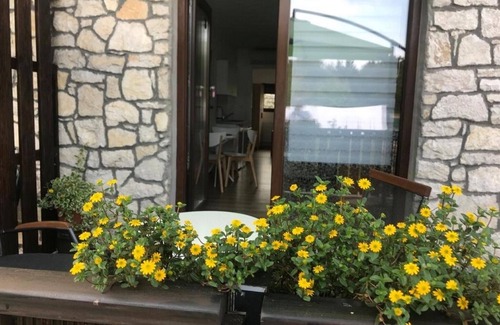 Jezerce Apartamento | Guesthouse Family Bosnic -One bedroom apartment with Terrace