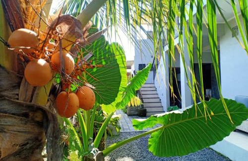 Batuan Cama Y Desayuno | Guesthouse Gelombang