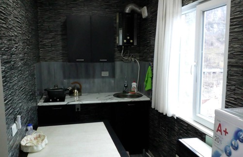Borjomi Apartamento | Guesthouse in borjomi near the forest 15minutes to the theme park close to train