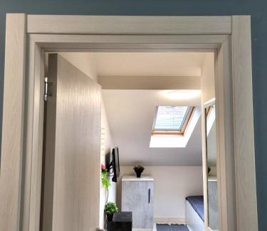 Zemun Apartamento | Guesthouse Ožegović