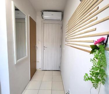 Zemun Apartamento | Guesthouse Ožegović