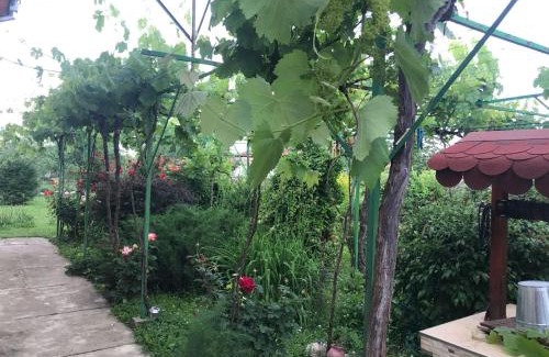 Pavel Banya Casa | Guesthouse Planinsko Gnezdo