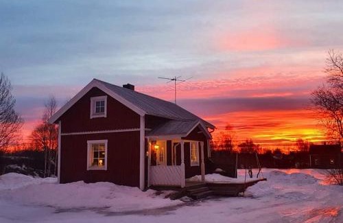 Ojebyn Casa | Guesthouse