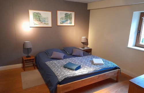 Raon-les-Leau Cama Y Desayuno | Guestroom Raon-lès-Leau, 2 pièces, 4 personnes - FR-1-584-278