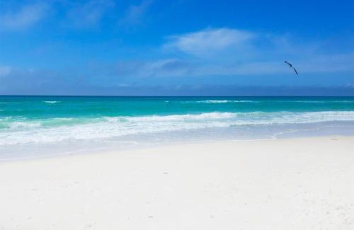 Thomas Drive Apartamento | Gulf Crest 2105B by Emerald Coast Retreats