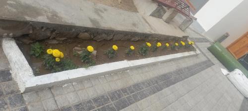 Leh Apartamento | gultuk homestay airport road skalzangling leh ladakh