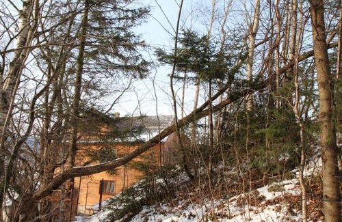 Yaremche Casa | Gutsulochka Apartment