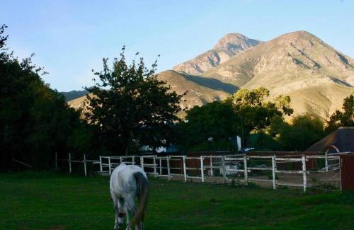 Greyton Apartamento | Gypsy Mama in Greyton