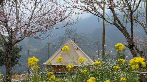 Meo Vac Otro | Hà Giang Camping