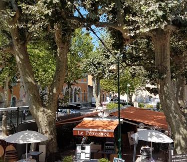 Brignoles Hotel | Hôtel Restaurant le Provence