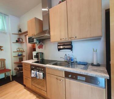 Hinterstoder Apartamento | Höss-Alpin-Lodge