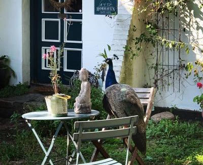 Fuglebjerg Cama Y Desayuno | Hørhaven B&B