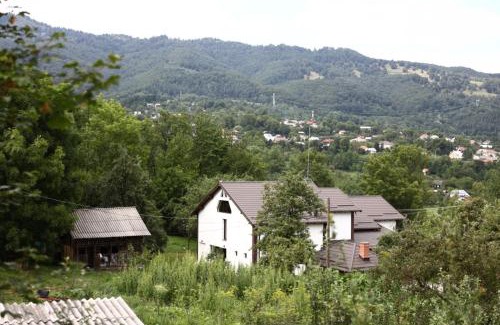 Oestii Paminteni Casa | Hățașul Bunicului