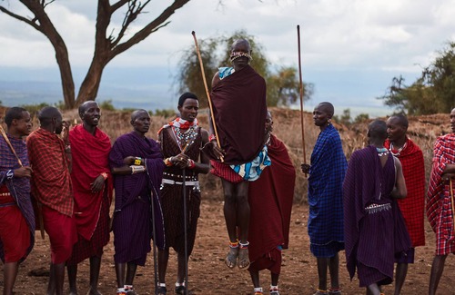 Amboseli Otro | H12 Elephant Gorge Camp