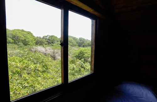 Bocachica Cabina | Habitación Frente al Manglar 2 camas individuales en Playa Blanca Isla Barú