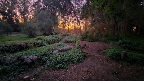 Isla de Maipo Casa | Habitación exclusiva Remanso del Espiritu