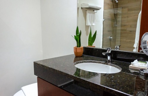Centro Hotel | Hotel Pet Friendly