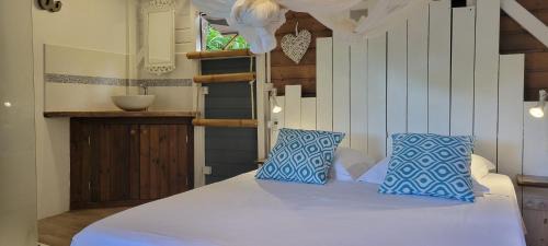Mahaut Casa | Habitation Colas