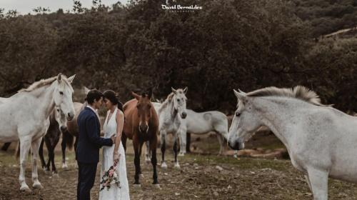El Ronquillo Casa | Hacienda Cantalapiedra