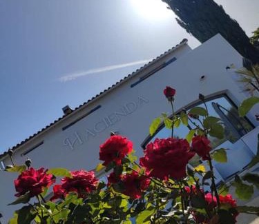 Oletta Cama Y Desayuno | Hacienda d Amore